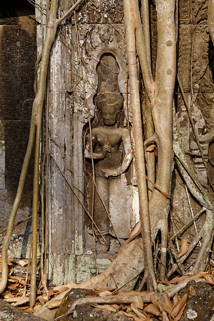 Ta Phrom et environs-095